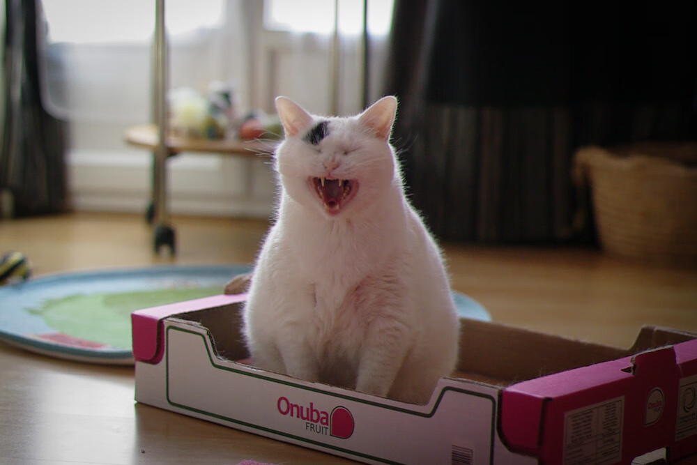 今日重演昨日,当绝杀败给天赋,手递手写下的篮球史诗