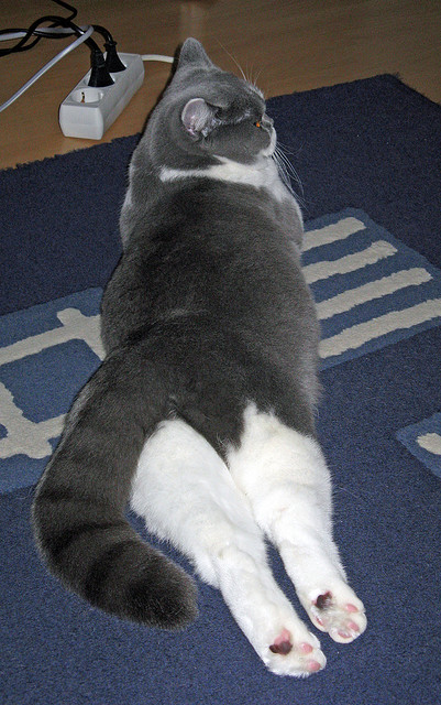 一球定乾坤!阿什拉夫精准制导,皇家社会友谊赛险胜哥伦比亚