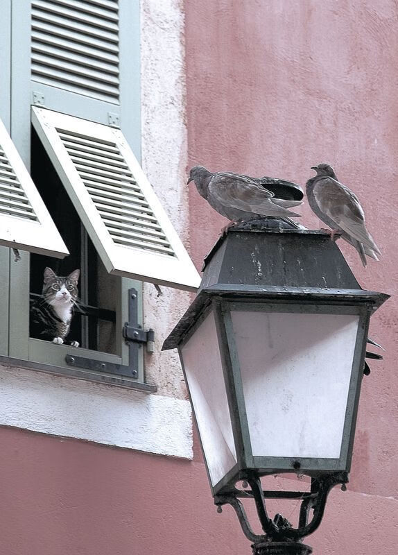 体育世界的唯一解,当绝境需要那个名字