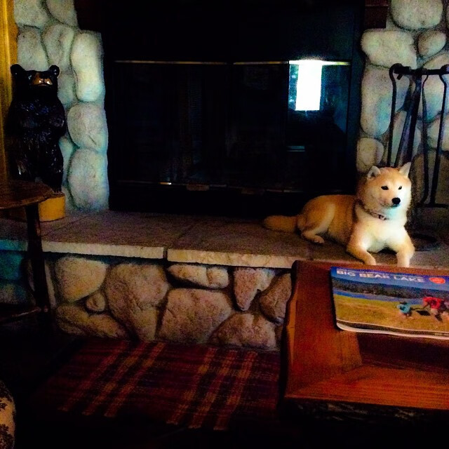 起跑线上的瞬间与全场压制，速度与耐力的体育艺术