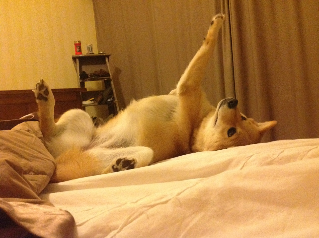 铁闸与利刃，当硬仗之王门迪将意甲巅峰对决铸成个人丰碑