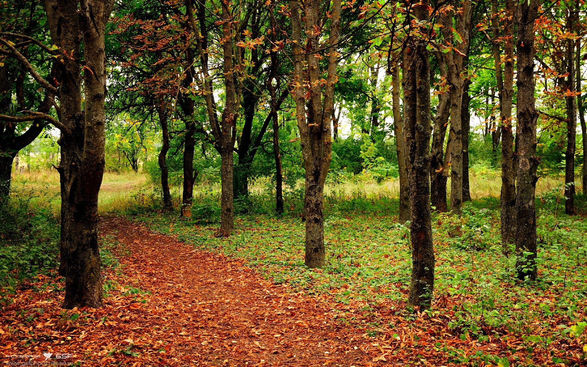 足球的舞台哲学，从本泽马到蓝桥的胜利
