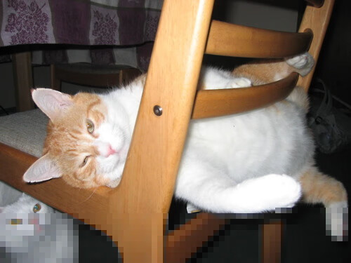 鏖战塞维利亚，铁卫托尼的致命头槌与拉齐奥的绝境突围