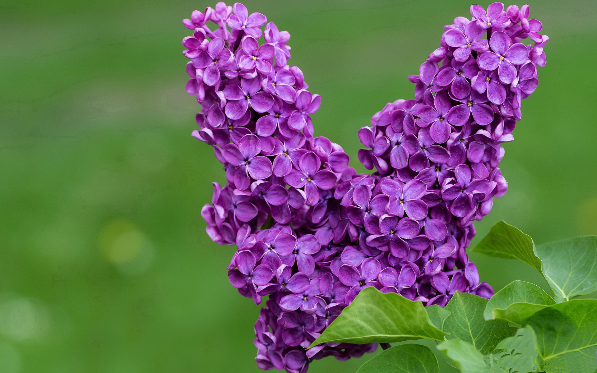 弑神之战，当希腊节奏在安联球场浇熄拜仁火焰