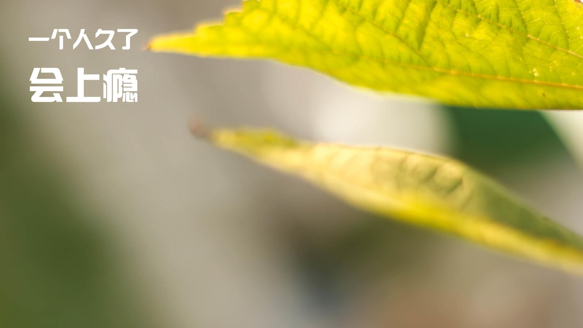 剑与盾的对决，吉林血拼山西，欧文40分封神之战