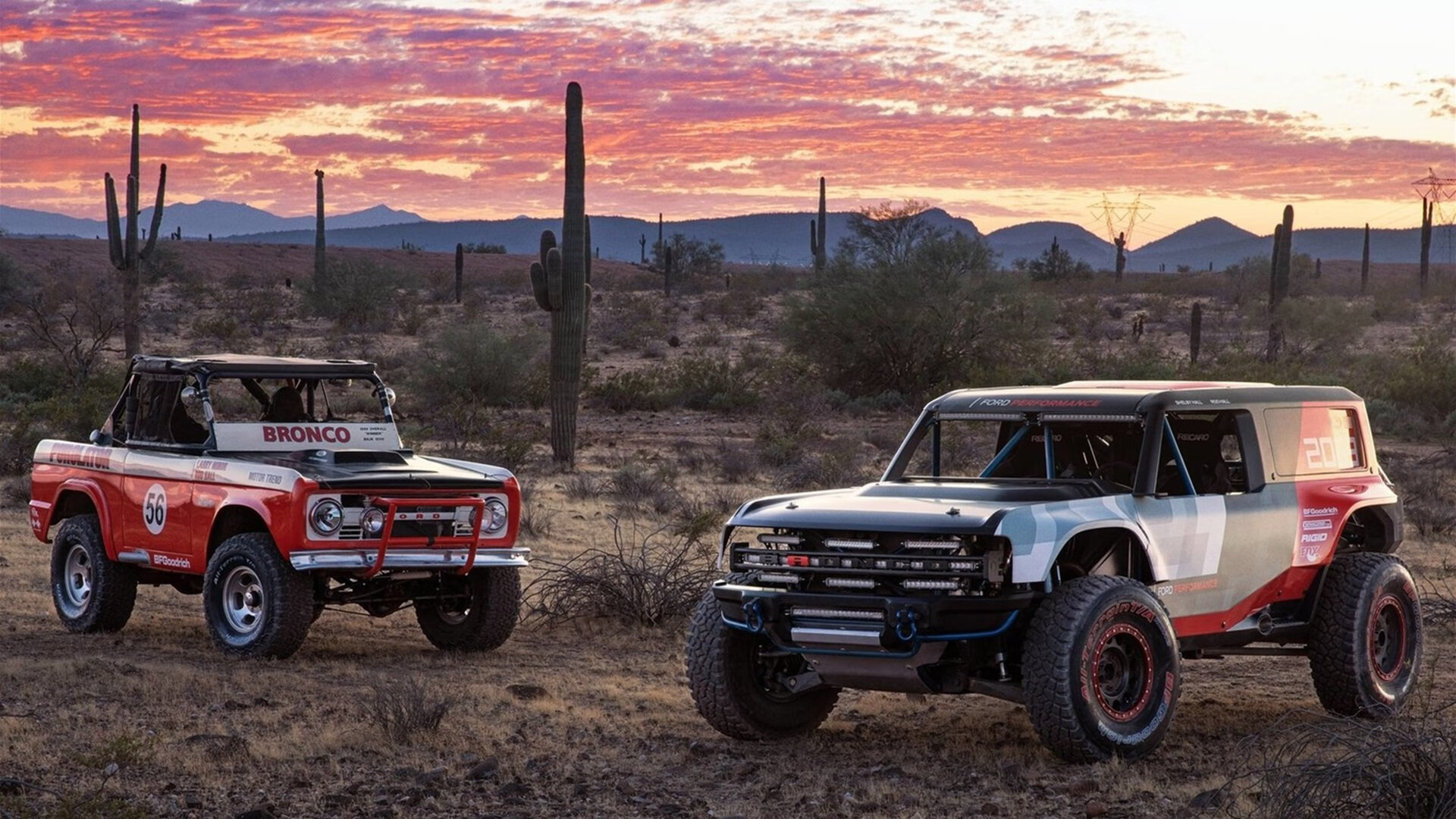 现代篮球启示录，戈贝尔存在感拉满，勇士用冠军基因给浙江队上了一课